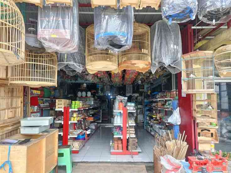 Warung Pakan Ternak Febri: Jantung Kecil yang Menyokong Peternakan Cilacap